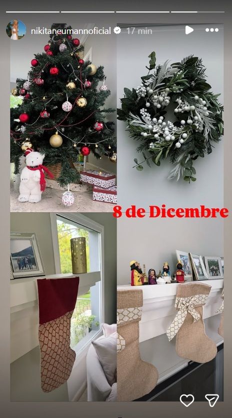 Arbolitos de Navidad