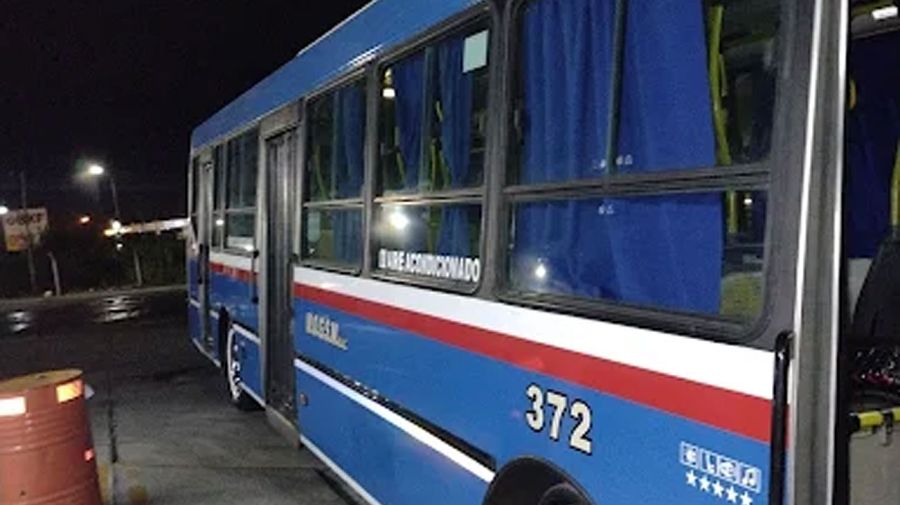 Continúa el paro de colectivos en el AMBA 09122025