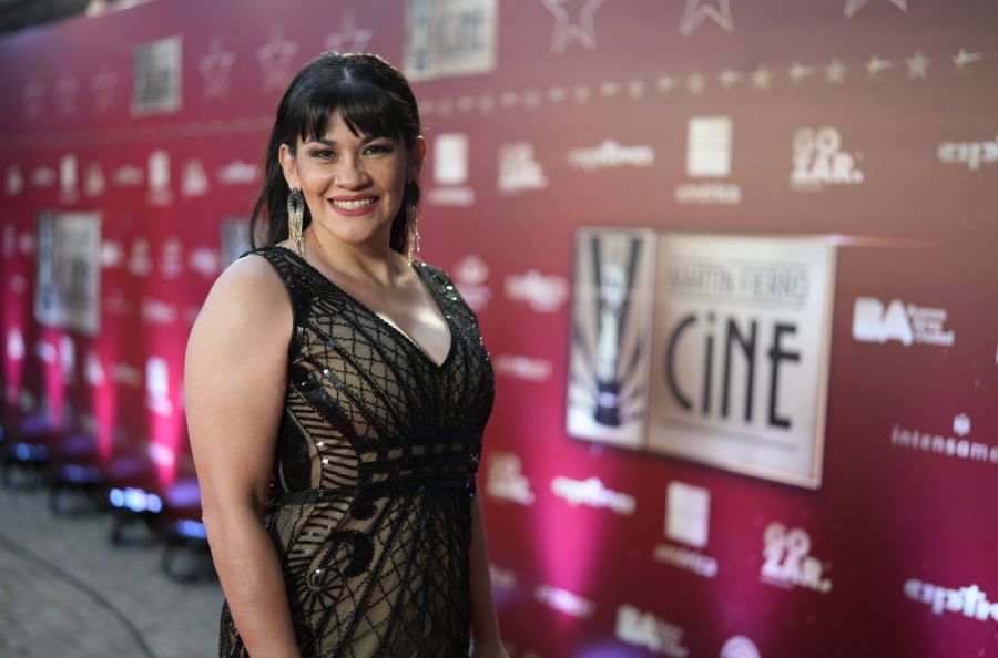 Martín Fierro of cinema and series