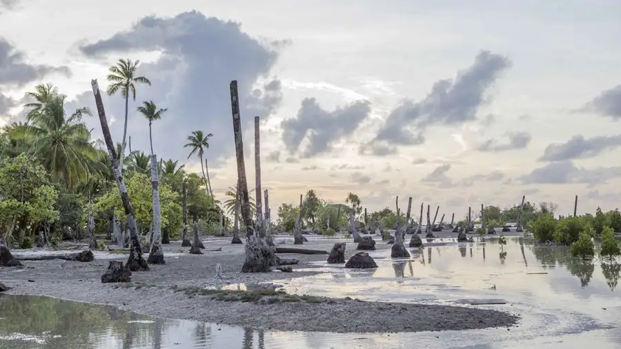 El Niño-Oscilación del Sur 10122025