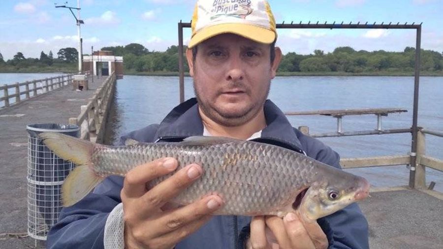 1112_mapa_pique_pesca