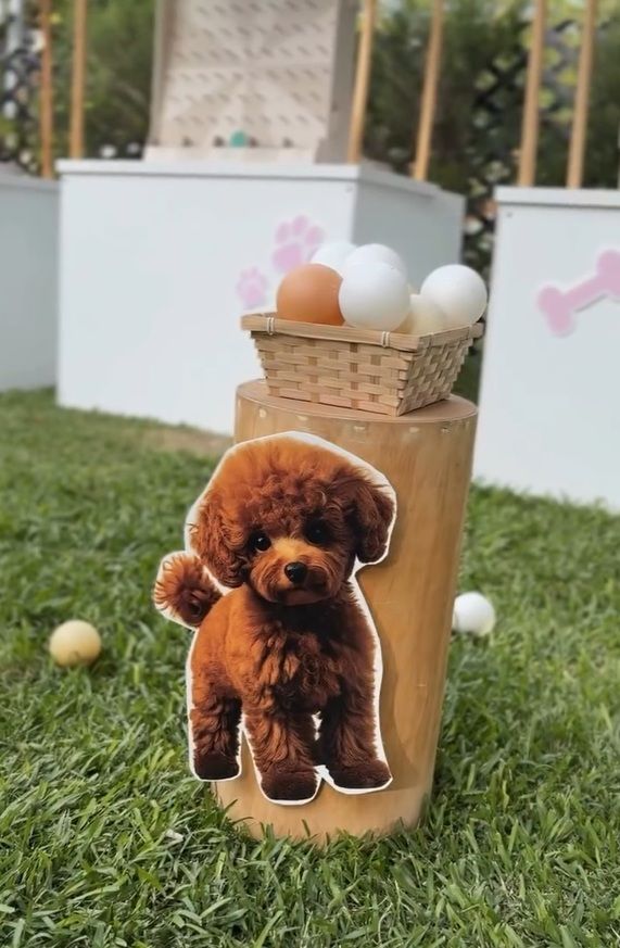 El cumpleaños número 8 de Pía, la hija de Ángel di María y Jorgelina Cardoso