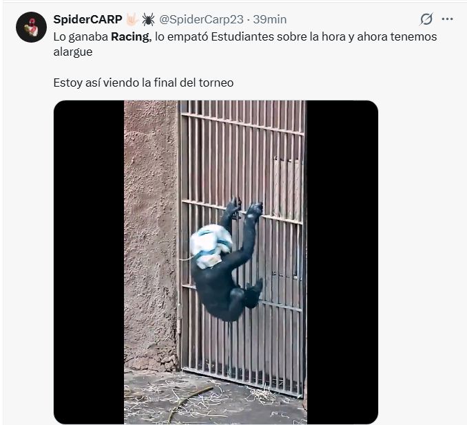 Memes final del Clausura