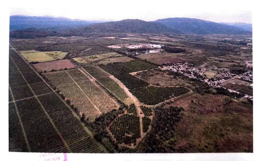 Constatación con drones de la denuncia judicial por el caso contra Carbonell 15122025