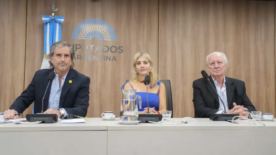 Constitución de la Comisión de Presupuesto y Hacienda en el Congreso Nacional 20251215