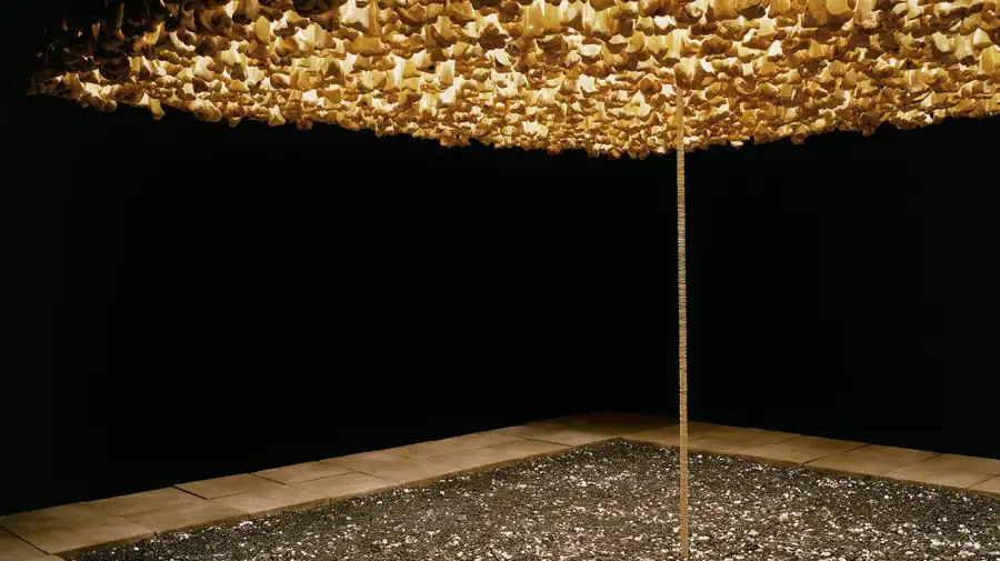 Costantini adquiere la Colección Daros Latinamerica 15122025