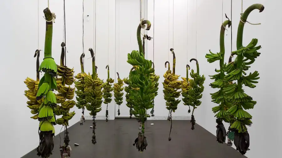 Costantini adquiere la Colección Daros Latinamerica 15122025