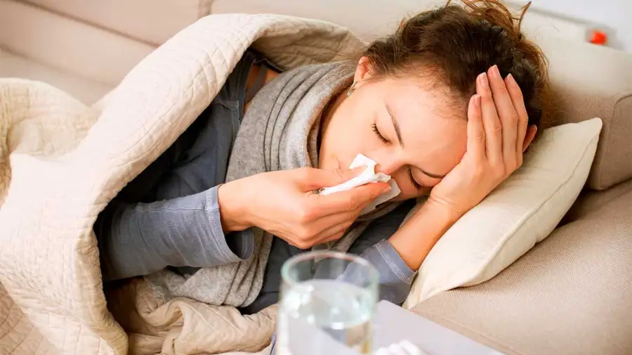 Gripe H3N2 15122025