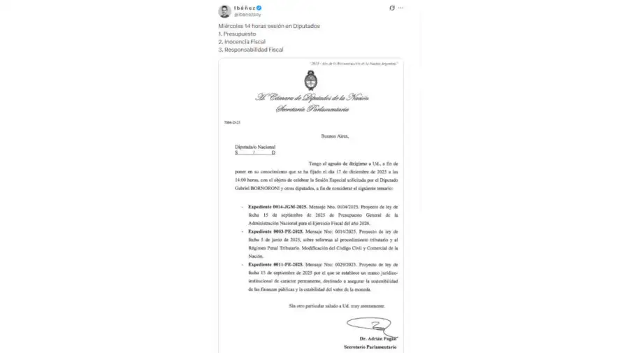 I b á ñ e z X 20251215