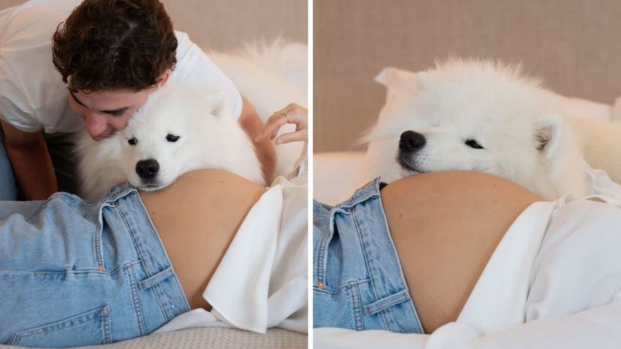 Julián Álvarez, Emilia Ferraro