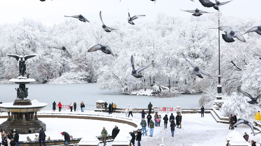 Cayó la primera gran nevada de la temporada en Nueva York 16122025