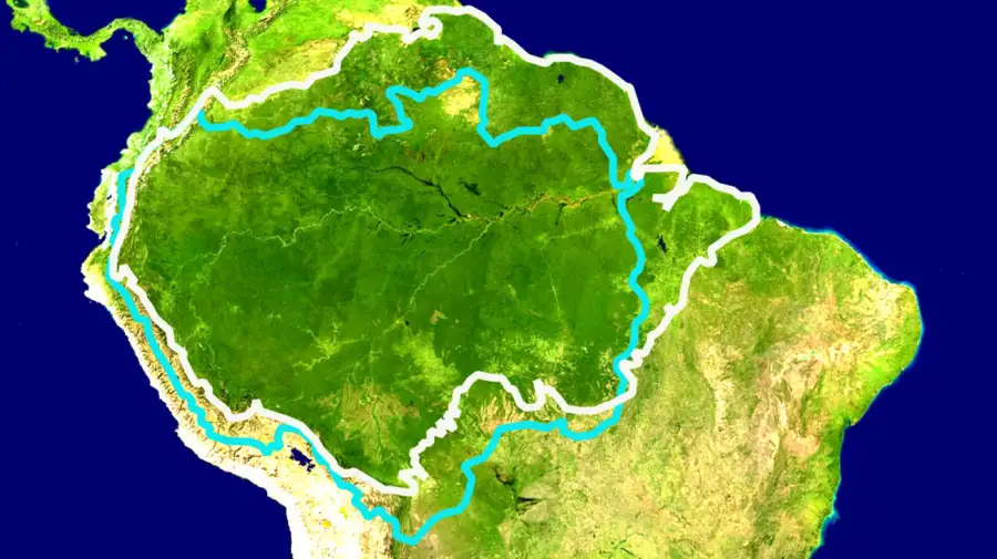 La Amazonia podría perder hasta el 38% de su cubierta forestal para fines de siglo. 16122025