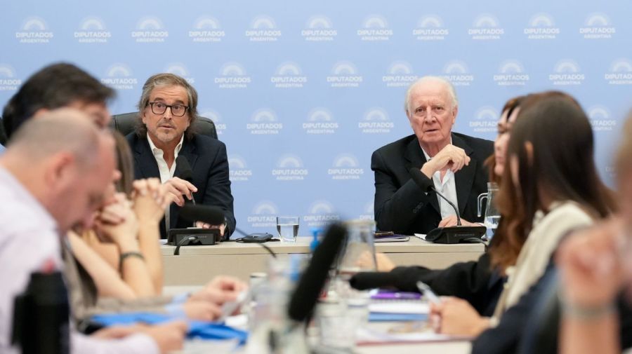 Bertie Benegas Lynch