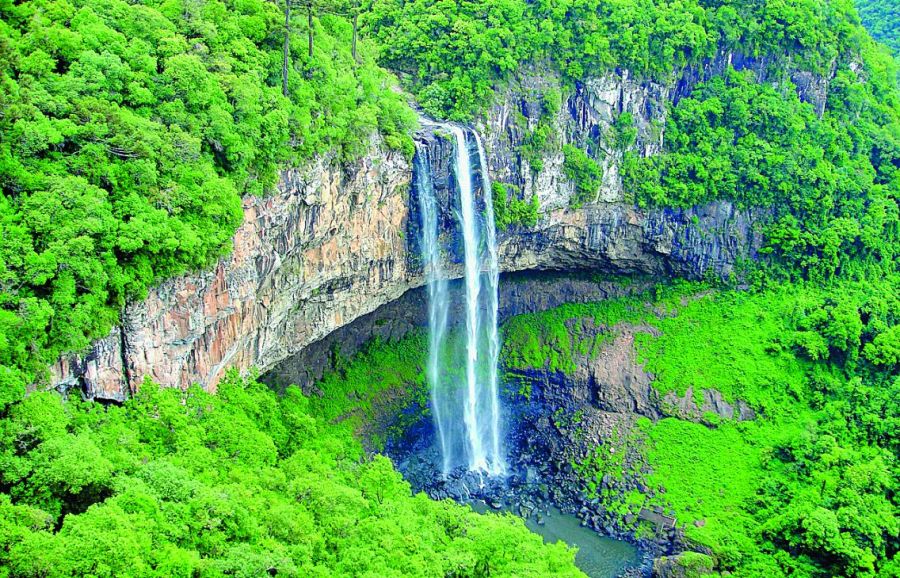 1218_contenidoenero2026