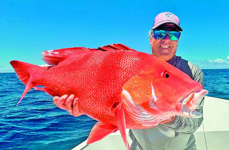 1218_contenidoenero2026