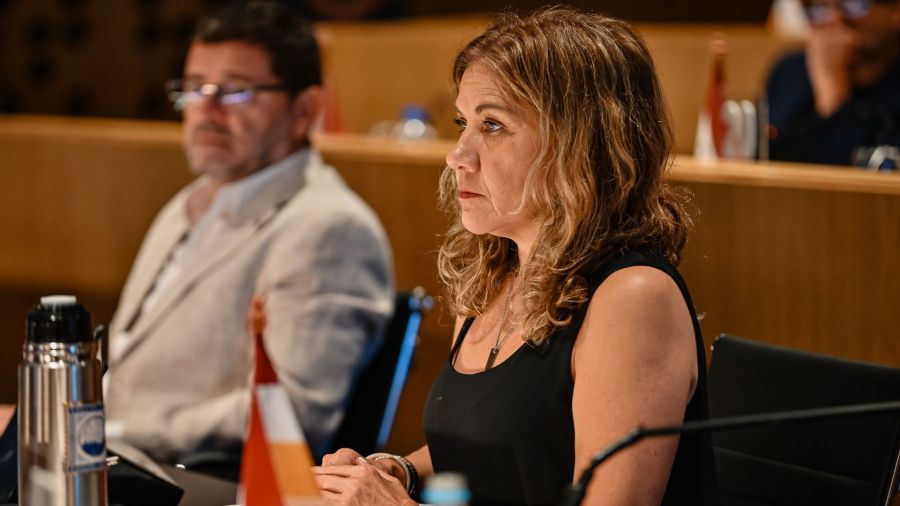 Impulsan un proceso de renovación del Barrio Güemes 