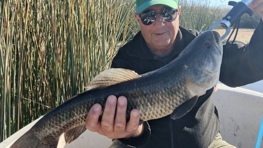 1912_mapa_pique_pesca