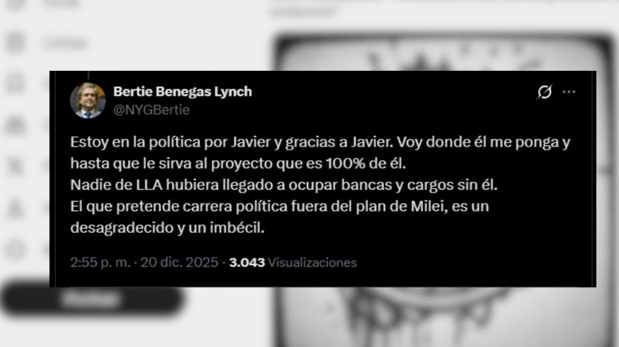 tweet-bertie-benegas-lynch-2157073.jpg?webp