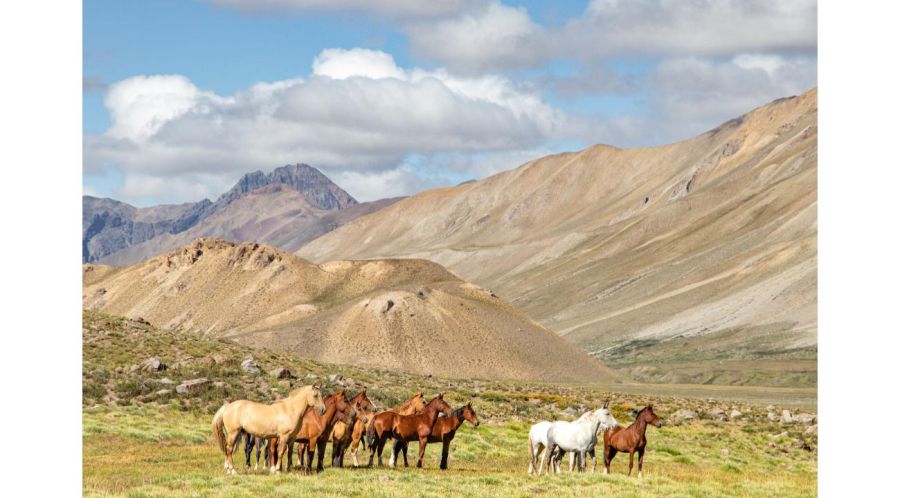 GR Turismo Aventura: una propuesta diferente para conocer el sur mendocino