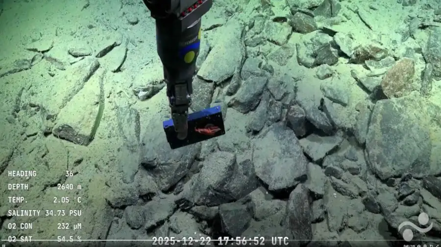 La nueva expedición del CONICET encontró un VHS a 2600 metros de profundidad 20251223