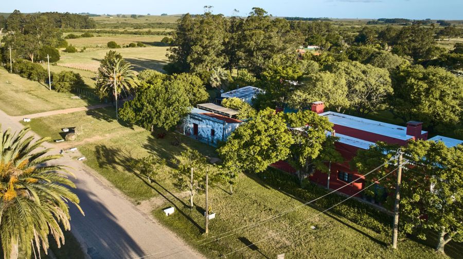 Temporada alta de arte en Uruguay 26122025