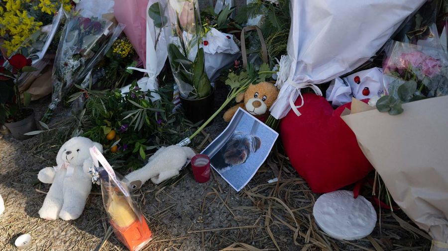 Flowers by Brigitte Bardot at Place Blanqui in Saint-Tropez 29122025