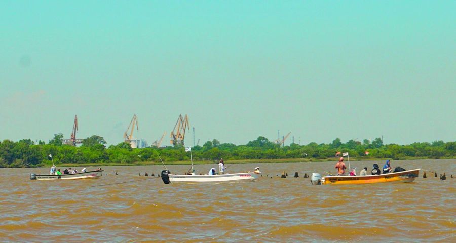 1230_dorados