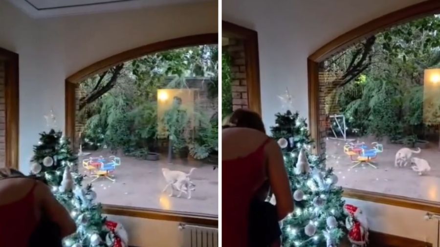 Lizy Tagliani y Sebastián Nebot