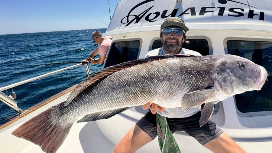 0201_mapa_pique_pesca