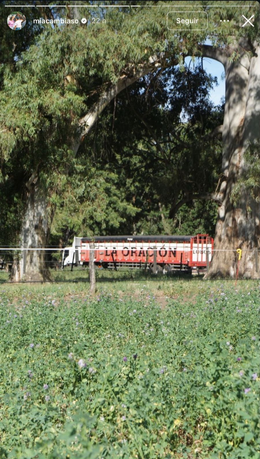 Mia Cambiaso, la hija de María Vázquez, recibió el 2026 en el campo, rodeada de caballos