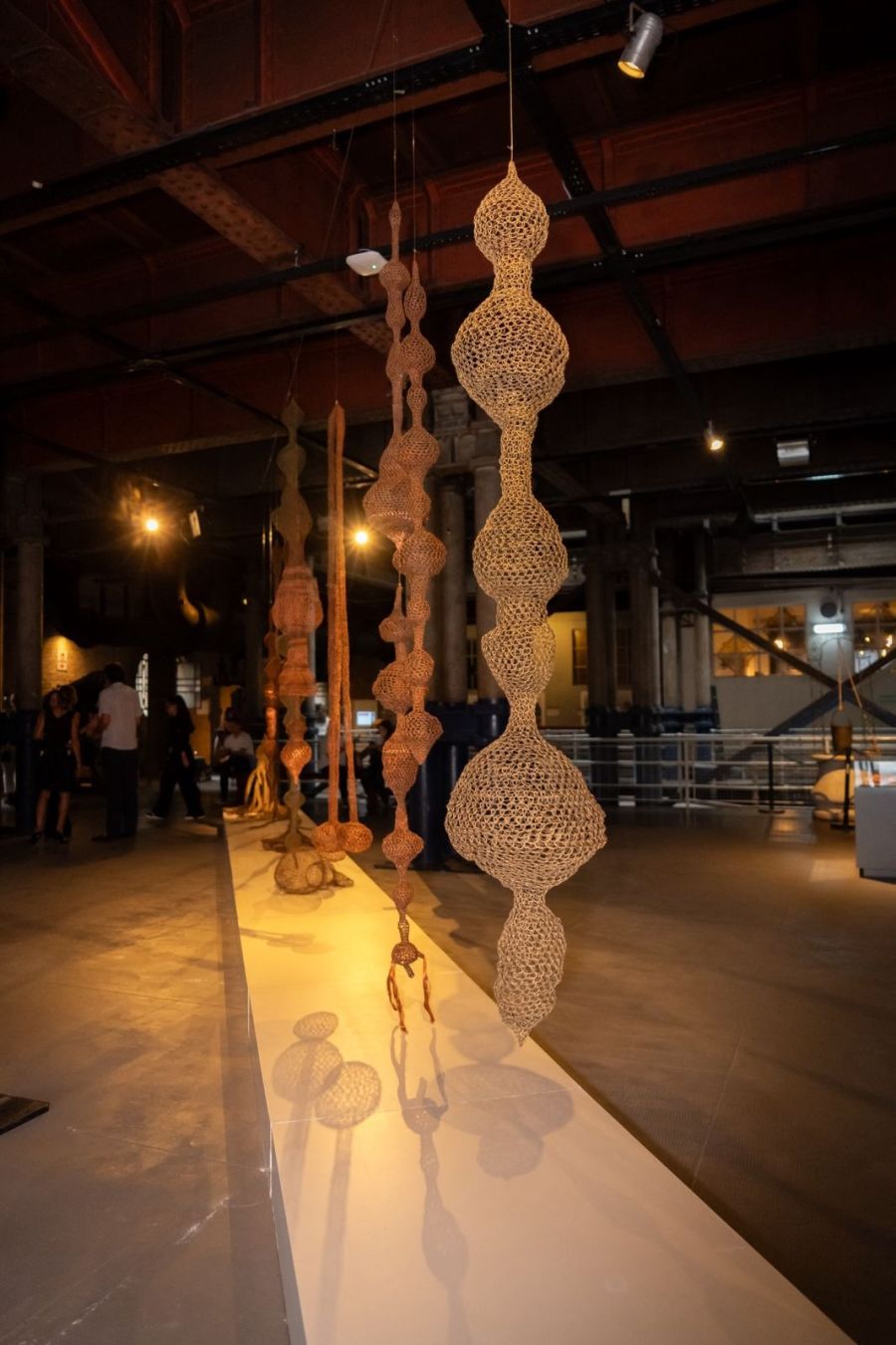 Muestra Marcelo Toledo