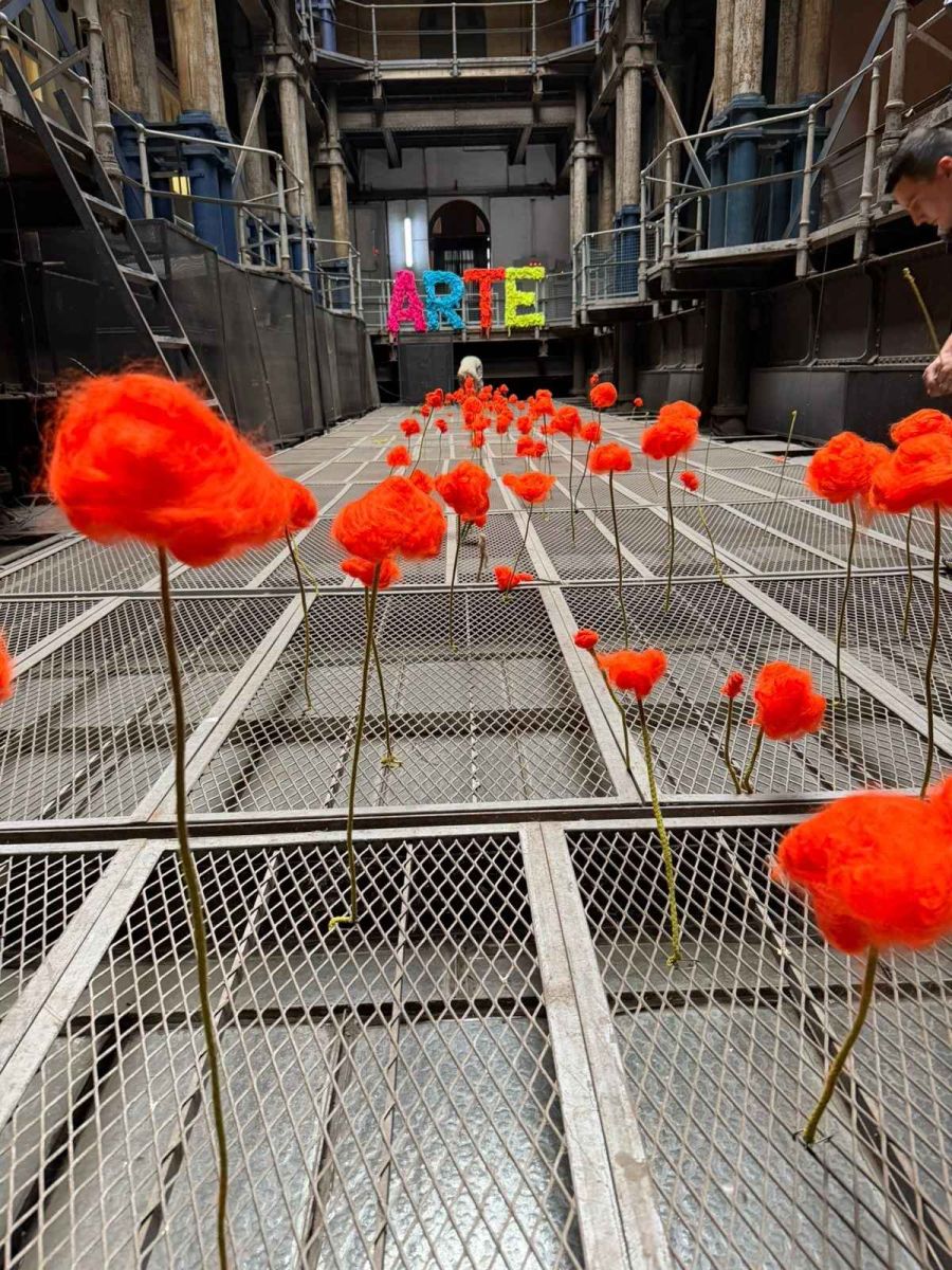 Muestra Marcelo Toledo