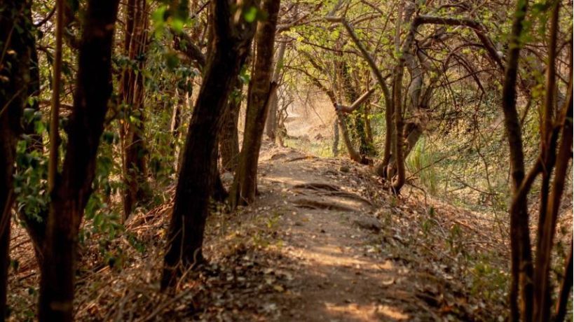 Reserva Natural Parque del Oeste 