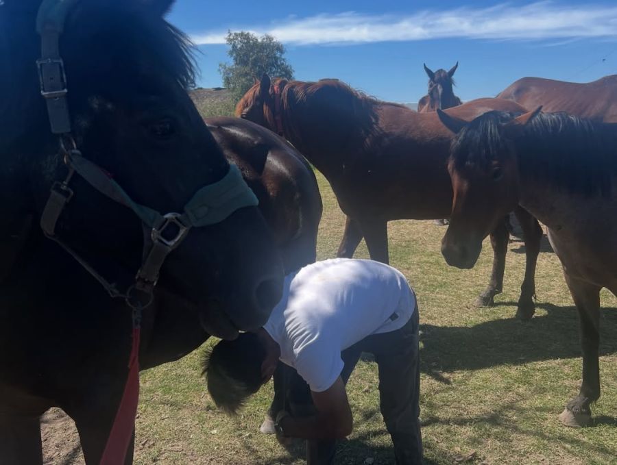 La casa de Denise Dumas en el campo