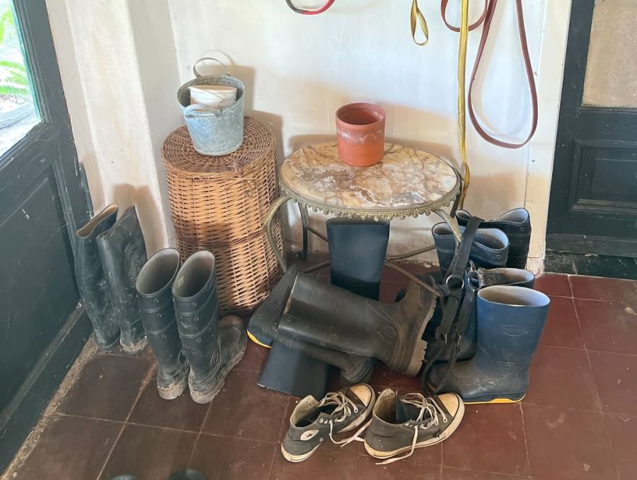 La casa de Denise Dumas en el campo