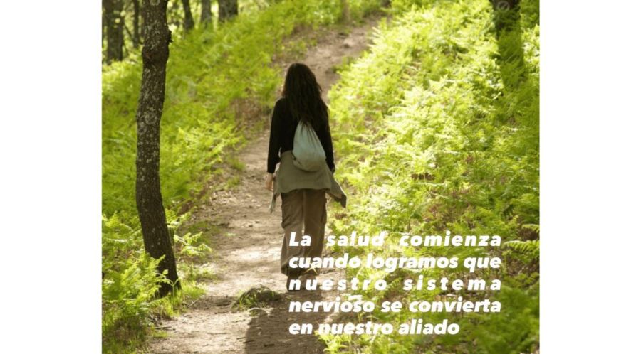 ¿Y si comenzamos el año con una pausa?