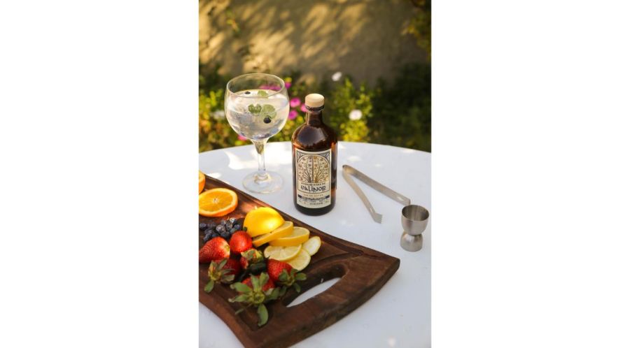 Alquimistas de Valinor: cuando el gin se transforma en experiencia