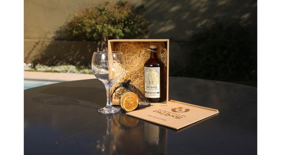 Alquimistas de Valinor: cuando el gin se transforma en experiencia