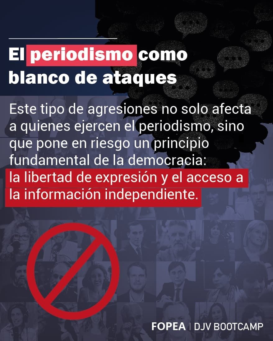 Informe FOPEA insultos Milei 8