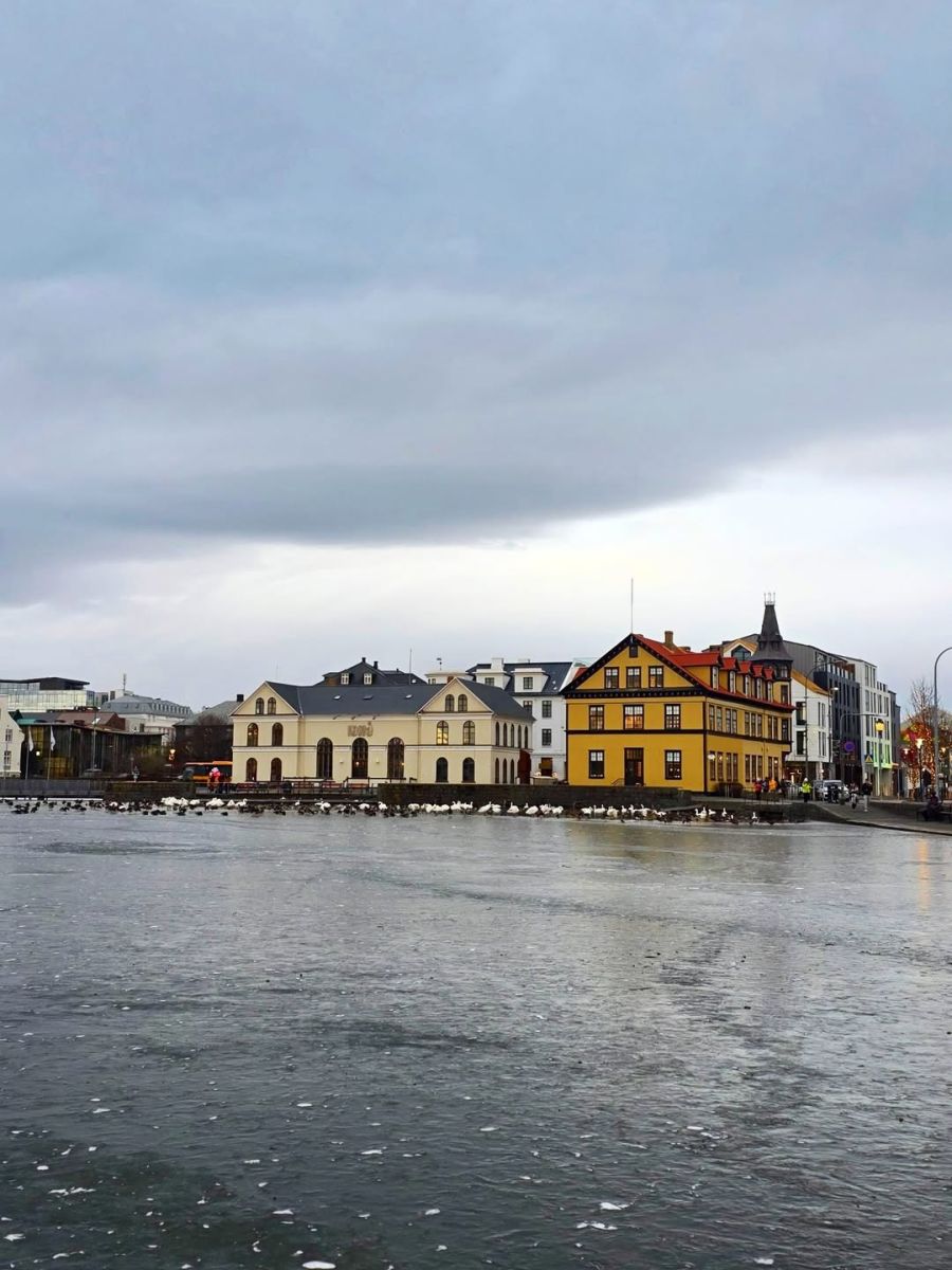 Mario Massaccesi en Islandia