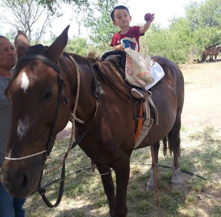 Equinoterapia en Embalse
