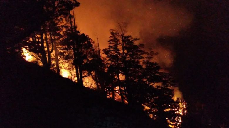 Incendios en el sur del país, una pesadilla.