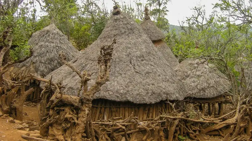 Konso - GM Producciones