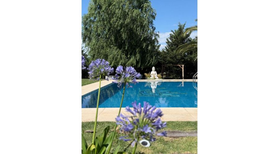 Relax, Campo y los Sabores de la Nonna 