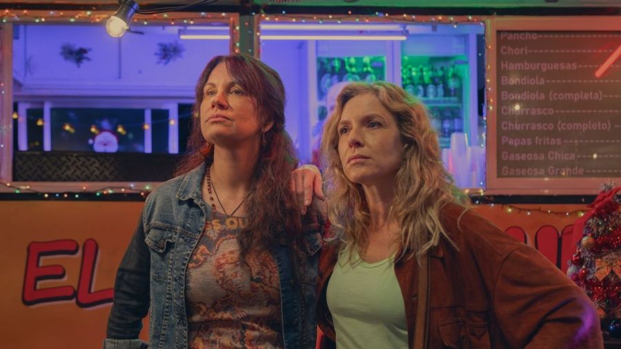 El tiempo de las moscas