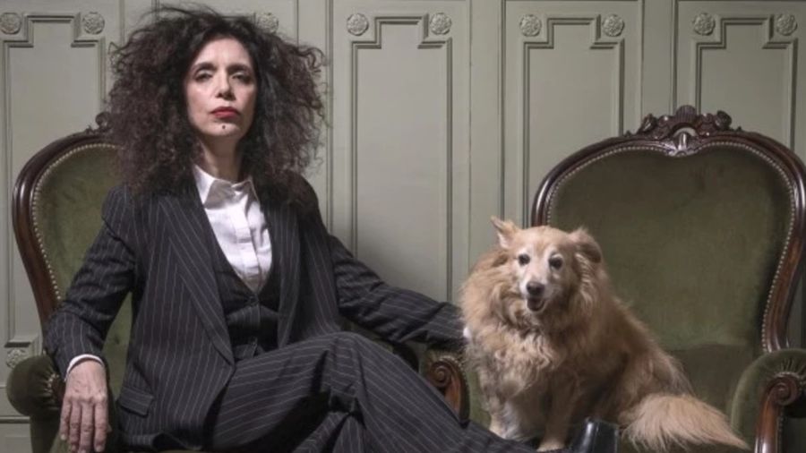 Denuncia por estafa contra Claudio Morgado 20260115