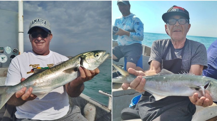 1601_mapa_pique_pesca