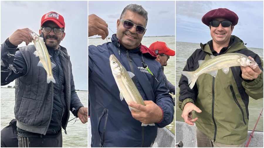 1601_mapa_pique_pesca