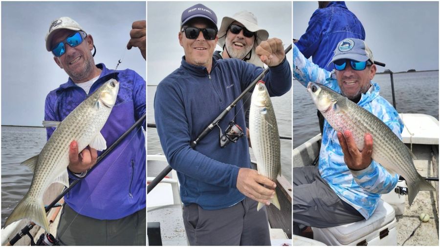 1601_mapa_pique_pesca