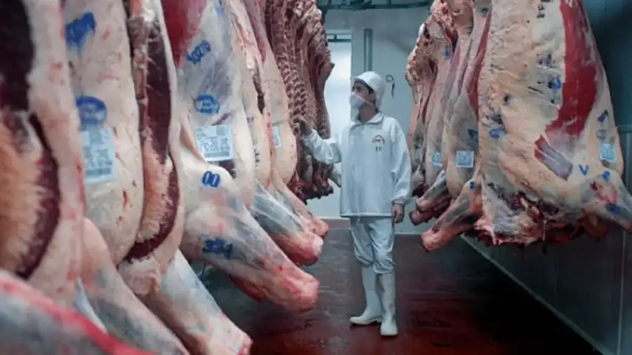Carne vacuna